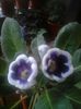 IMG-20140726-WA0004