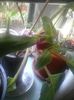 IMG-20140726-WA0008