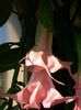 20140726_161012