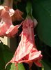 20140726_161015