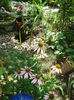DSC02926