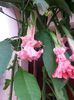 20140726_193405