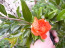 P1230014