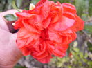 P1230018