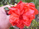 P1230019