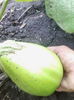 IMG_20140725_185223