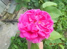 DSCN5830