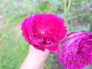 DSCN5836