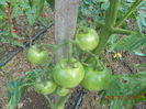 DSCN5842