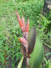DSCN5831