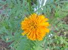 DSCN5837