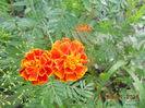 DSCN5838