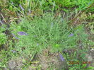 DSCN5854