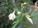 DSCN5828
