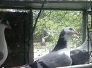 CAM00808