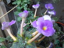 DSCN6749