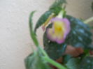 DSCN6756