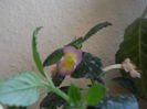 DSCN6757