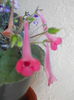 DSCN6760