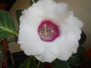 DSCN6762