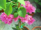 DSCN6772
