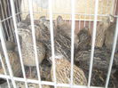 DSCN1181