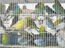 DSCN1187