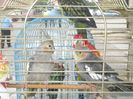 DSCN1188