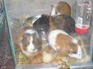 DSCN1189