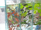 DSCN1190