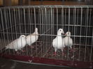 DSCN1209