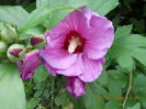 039