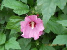 043