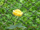 058