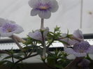 P7190042