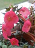 P7190051