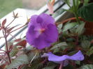 P7190052
