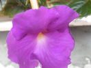 P7270160