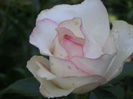 P7260083