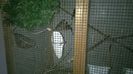 WP_20140727_015