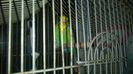 WP_20140727_018