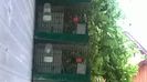 WP_20140727_025