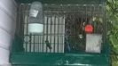 WP_20140727_026