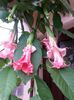 20140726_193234