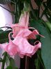 20140726_193333