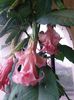 20140726_210424