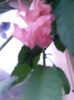 20140726_210433