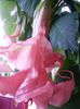 20140727_205057