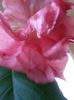 20140727_205145