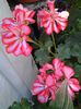 20140727_091144